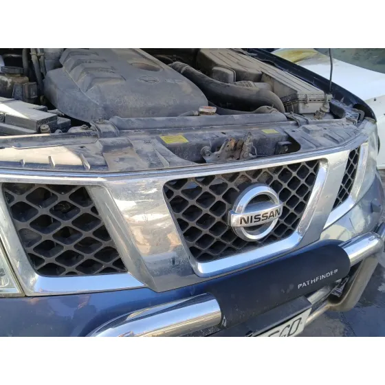 Rejilla Delantera para Nissan Pathfinder Iii (R51)