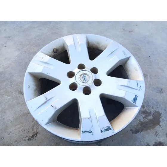 Llanta Delantera Izquierda para Nissan Pathfinder Iii (R51)