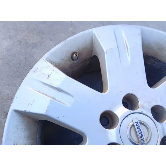 Llanta Delantera Izquierda para Nissan Pathfinder Iii (R51)