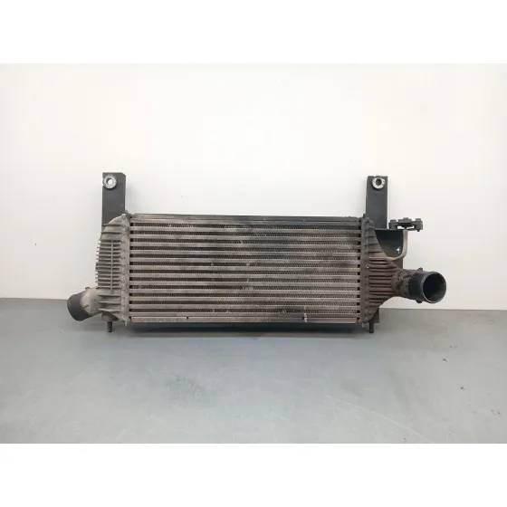 Intercooler para Nissan Pathfinder Iii (R51)