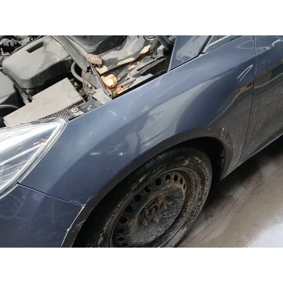 Aleta Delantera Izquierda para Ford Focus Iii Turnier