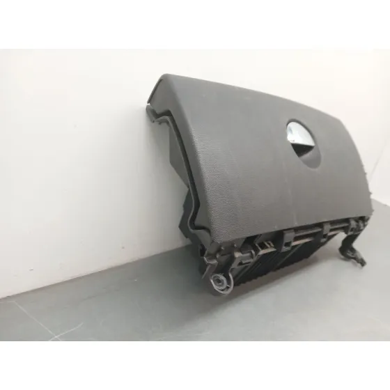 Guantera para Mini Mini Countryman (R60)