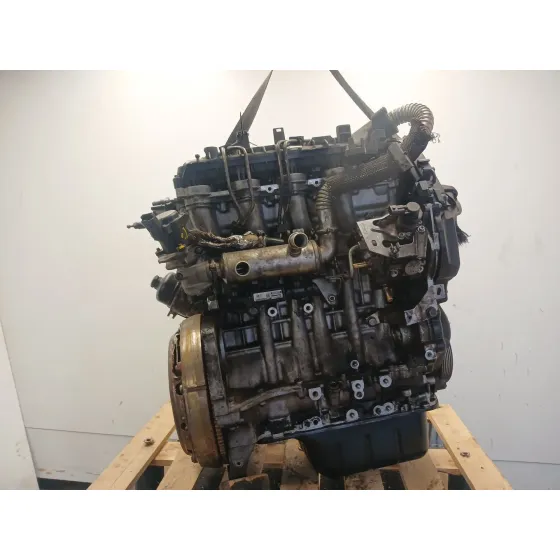 Despiece Motor para Ford Focus C-Max (Dm2)