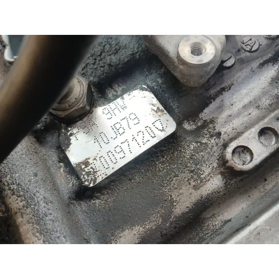 Despiece Motor para Ford Focus C-Max (Dm2)