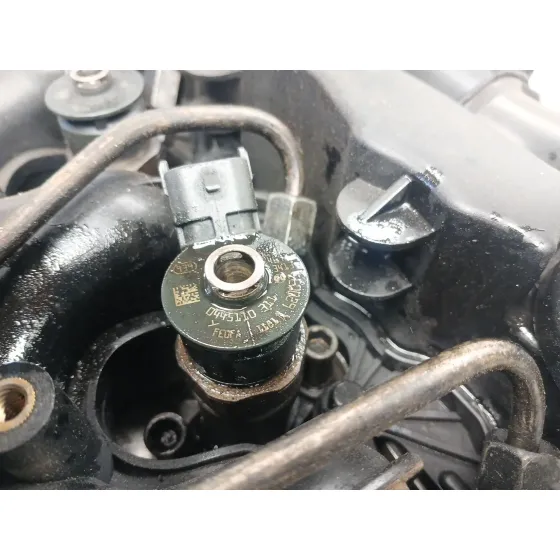Despiece Motor para Ford Focus C-Max (Dm2)