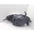Faro Derecho para Nissan Micra Iii (K12)