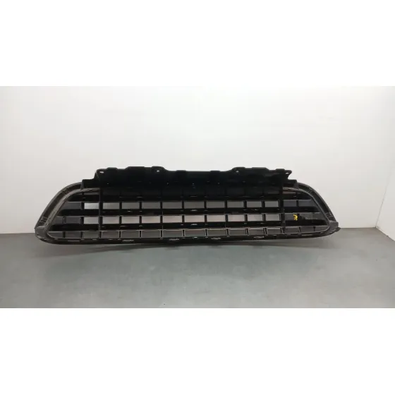 Rejilla Delantera para Mini Mini Countryman (R60)