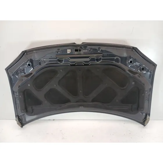 Capot para Ssangyong Rodius I