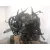 Motor Completo para Ford Focus I (Daw, Dbw)