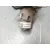 Valvula Egr para Renault Clio Iii (Br0/1, Cr0/1)
