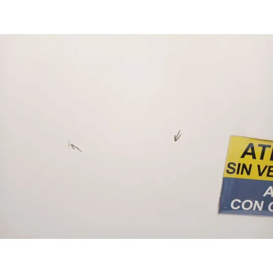 Puerta Trasera Izquierda para Opel Combo Furgoneta/Monovolumen (X12)