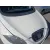 Capot para Seat Toledo Iii (5P2)