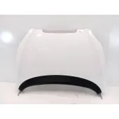 Capot para Seat Toledo Iii (5P2)
