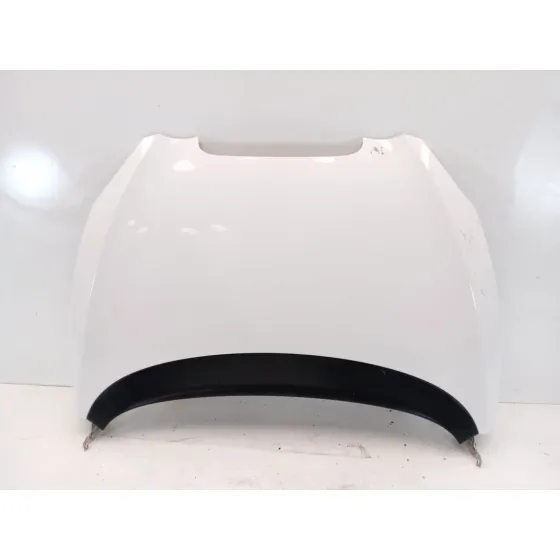 Capot para Seat Toledo Iii (5P2)