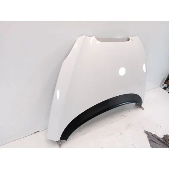 Capot para Seat Toledo Iii (5P2)