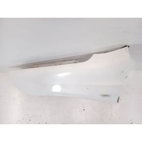 Aleta Delantera Izquierda para Nissan Qashqai I (J10, Nj10)
