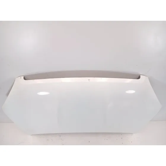 Capot para Nissan Qashqai I (J10, Nj10)