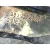 Llanta para Opel Corsa F (P2Jo)
