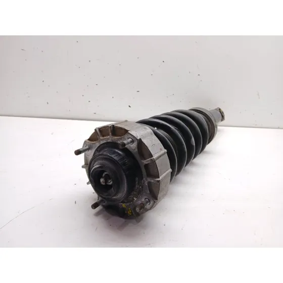 Amortiguador Trasero Derecho para Porsche Cayenne (9Pa)