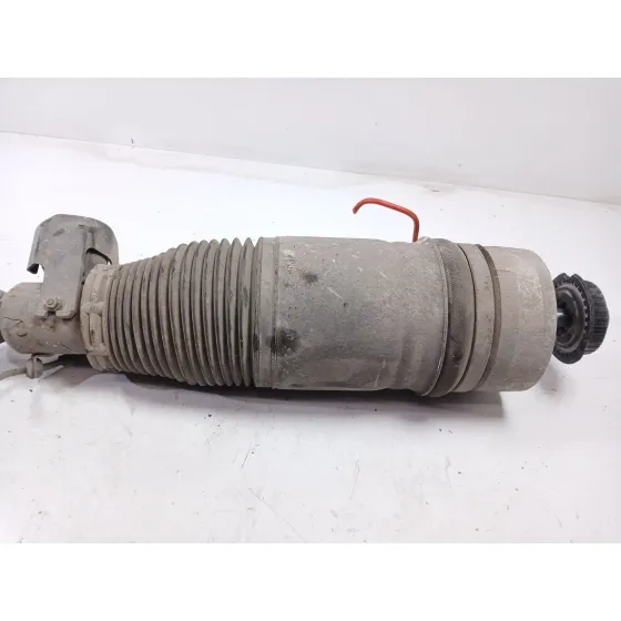 Amortiguador Trasero Izquierdo para Audi Q7 (4L)