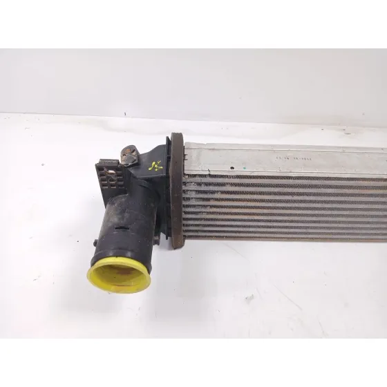 Intercooler para Omoda 5