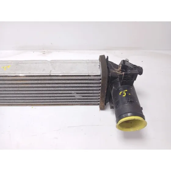 Intercooler para Omoda 5