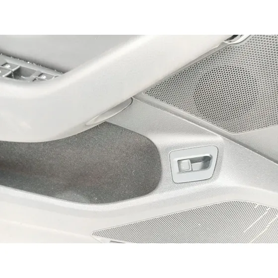 Guarnecido Puerta Delantera Izquierda para Volkswagen Arteon (3H8)