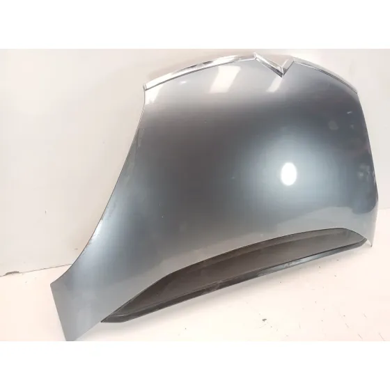 Capot para Citroën C4 Grand Picasso I (Ua_)