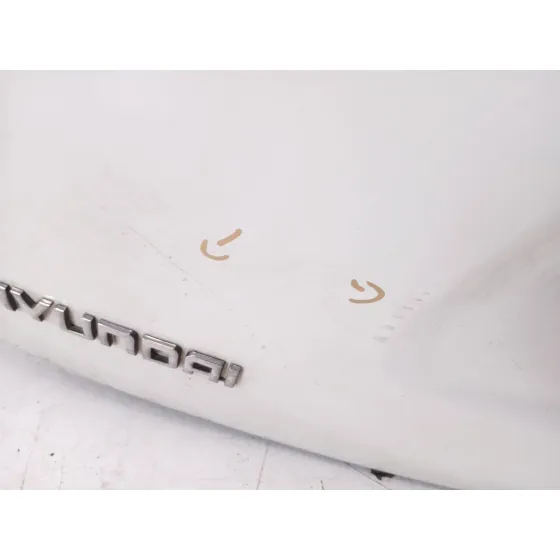 Porton Trasero para Hyundai Ix55