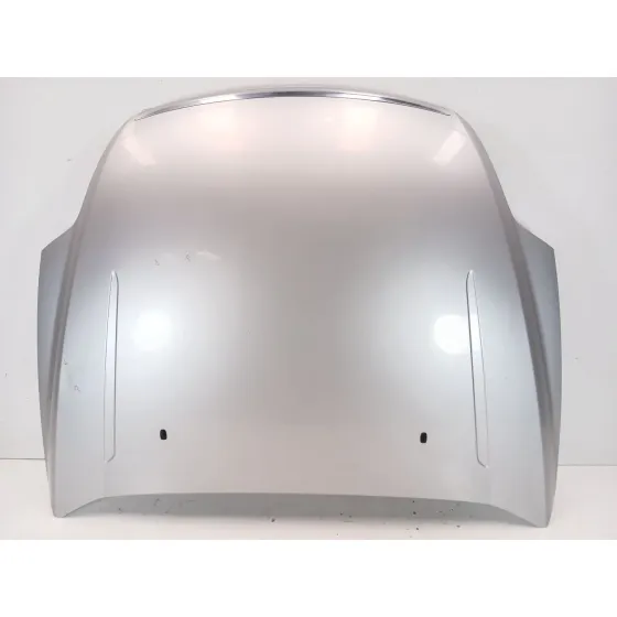 Capot para Ford Mondeo Iv (Ba7)