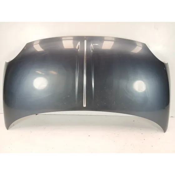 Capot para Fiat 500 (312_)