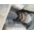 Transmision Central para Audi A6 Berlina (4F2)