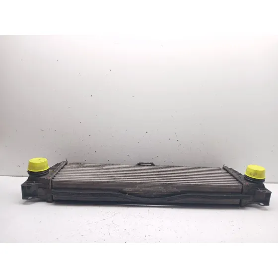 Intercooler para Mercedes-Benz Vito / Mixto Furgoneta (W639)