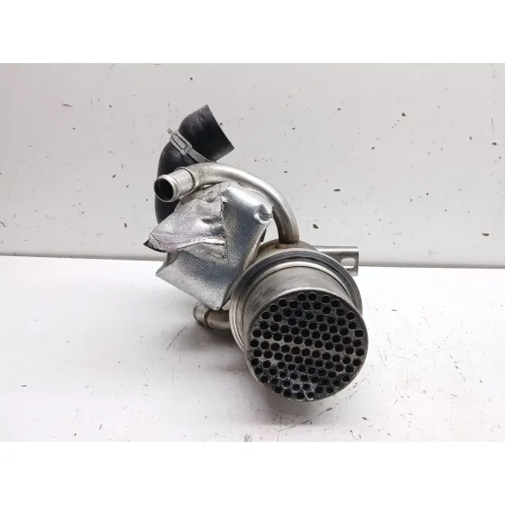 Enfriador Egr para Volkswagen Tiguan (5N2)