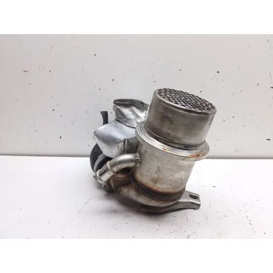 Enfriador Egr para Volkswagen Tiguan (5N2)