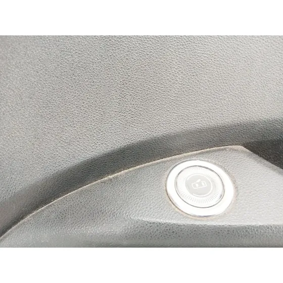 Guarnecido Puerta Delantera Derecha para Fiat 500E (332_)
