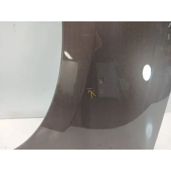 Aleta Delantera Izquierda para Renault Grand Scenic Iii (Jz0/1_)
