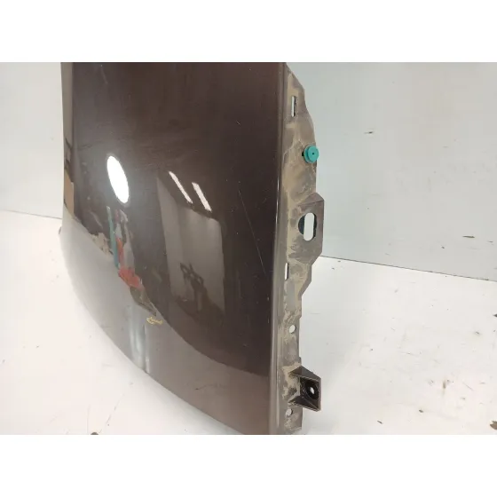 Aleta Delantera Izquierda para Renault Grand Scenic Iii (Jz0/1_)
