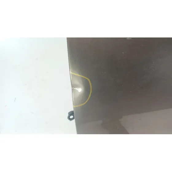 Puerta Delantera Izquierda para Renault Grand Scenic Iii (Jz0/1_)
