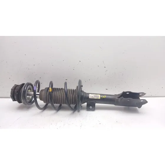 Amortiguador Delantero Izquierdo para Suzuki Swift (Az)