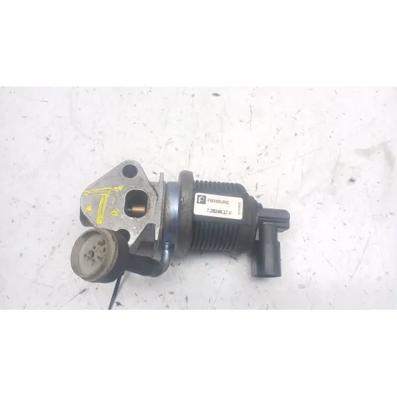 Valvula Egr para Seat Ibiza (6L1)