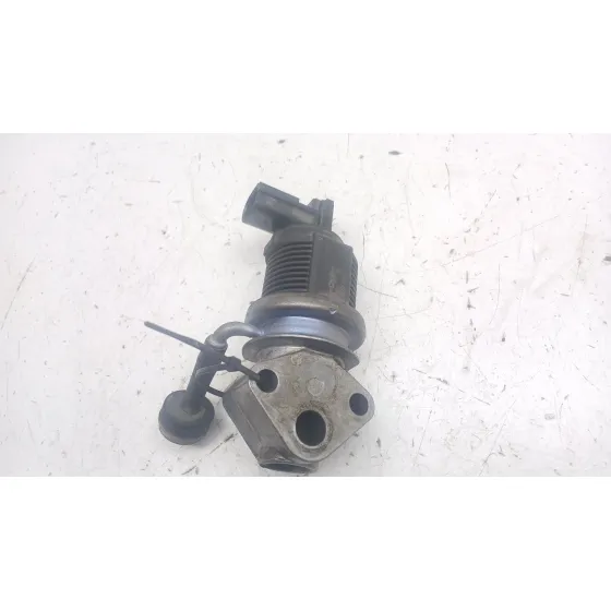 Valvula Egr para Seat Ibiza (6L1)