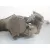 Cremallera Direccion para Citroën C4 Picasso