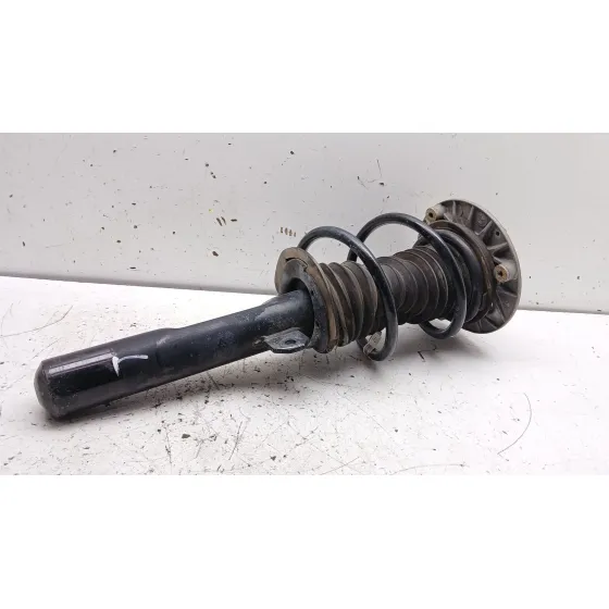 Amortiguador Delantero Izquierdo para Mini Mini Descapotable (F57)