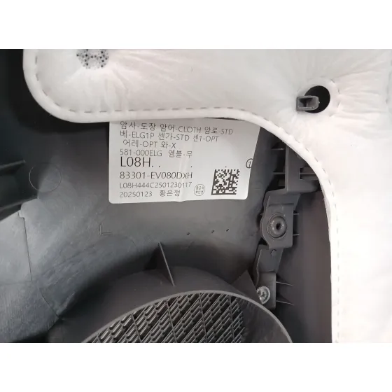 Guarnecido Puerta Trasera Izquierda para Kia Ev3