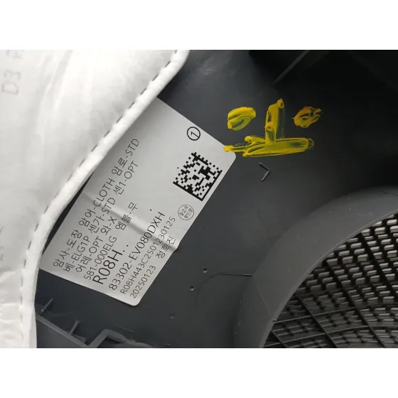 Guarnecido Puerta Trasera Derecha para Kia Ev3