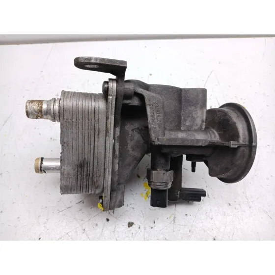 Enfriador Aceite Motor para Peugeot Expert Furgoneta (V_)