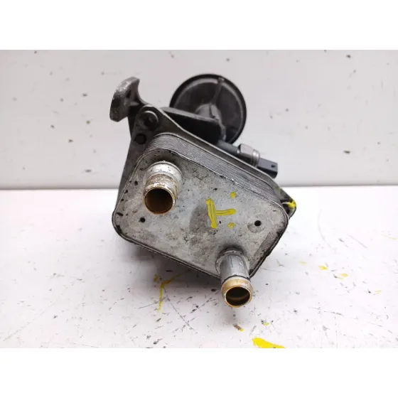 Enfriador Aceite Motor para Peugeot Expert Furgoneta (V_)