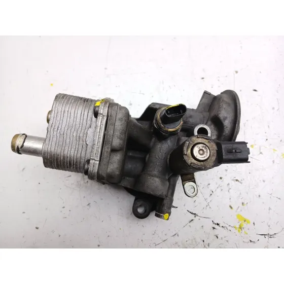 Enfriador Aceite Motor para Peugeot Expert Furgoneta (V_)