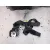 Kit Airbag para Alfa Romeo Mito (955_)